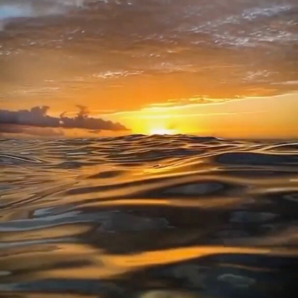 Meet your Posher, Roman